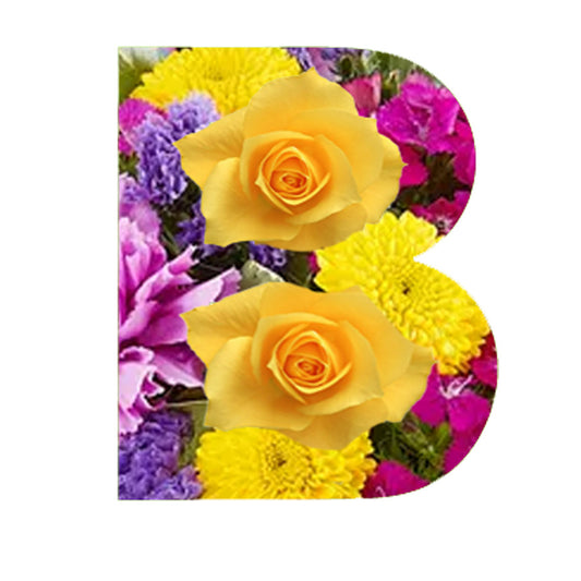 How to make beautiful letters in Photoshop Elements