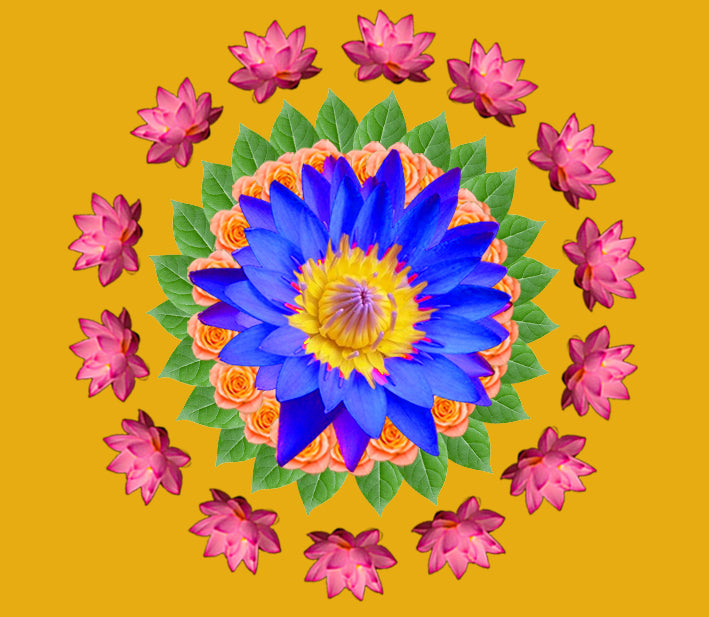 Chakras